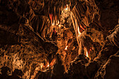 Stalactites and Stalagmites lit up in a cave, Grotte de Saint-Cezaire, Provence-Alpes-Cote d'Azur, France