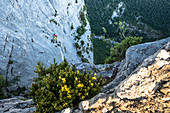 Climbing in the Gorges de Verdon, Rock Face, Limestone Rock, Lac de Sainte-Croix, Provence-Alpes-Cote d'Azur, France