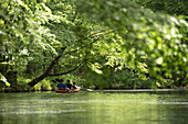 Paddeln am Fluss entlang, Biosphärenreservat, Kulturlandschaft, Flussarm, Flusslandschaft, Sommer,  Spreewald, Brandenburg, Deutschland