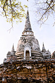 Stupa (Chedi) at Wat Mahathat, Ayutthaya, UNESCO World Heritage Site, Thailand, Southeast Asia, Asia