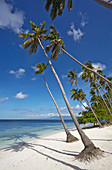 Paliton Beach, in der Nähe von San Juan, Siquijor, Philippinen, Südostasien, Asien
