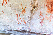 San Felsenkunst Höhlenmalereien an der Wand eines felsigen Überhangs im Cederberg, Westkap, Südafrika, Afrika