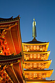 Die Fünf-Storey-Pagode am Sensi-ji-Tempel in der Nacht, Tokio, Japan, Asien