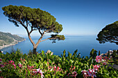 Villa Rufolo, Ravello, Costiera Amalfitana (Amalfi Coast), UNESCO World Heritage Site, Campania, Italy, Europe