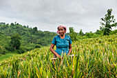 Eine Marma-Frau, die Unkraut in einem Ingwer-Feld in den Chittagong-Hügel-Traktaten, Bangladesch, Asien aufräumt