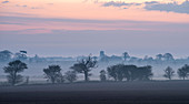 Ein Blick über Felder auf einem nebligen Morgen in Richtung des Dorfes Martham, Norfolk, England, Großbritannien, Europa