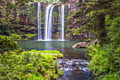 Whangarei Falls, ein beliebter Wasserfall in der Northlands Region von Nordinsel, Neuseeland, Pazifik