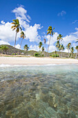 Sandy beach surrounded by palm trees and the Caribbean Sea, Morris Bay, Antigua and Barbudas, Leeward Islands, West Indies, Caribbean, Central America