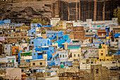 Mehrangarh Fort überragt die blauen Dächer in Jodhpur, die Blaue Stadt, Rajasthan, Indien, Asien
