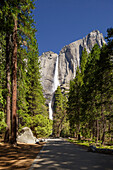 Yosemite Falls im Frühjahr im Frühjahr im Yosemite Nationalpark, UNESCO Weltkulturerbe, Kalifornien, Vereinigte Staaten von Amerika, Nordamerika