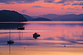 The peaceful and tranquil waters of Queen Charlotte Sound at dawn, South Island, New Zealand, Pacific