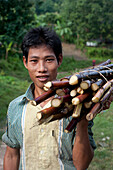 Ein Mann aus dem Chittangong Hill Tracts in Bangladesch trägt frisch geschnittenen Zuckerrohr, Chittagong Hill Tracts, Bangladesch, Asien