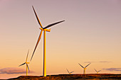 Windkraftanlagen bei Sonnenuntergang, Whitelee Wind Farm, East Renfrewshire, Schottland, Großbritannien, Europa