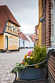 Denmark, Jutland, Ribe, building detail.