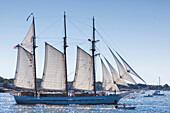 USA, Massachusetts, Cape Ann, Gloucester, annual Gloucester Schooner Festival, schooner Parade of Sail.