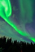 Aurora borealis (Northern Lights) over Great Slave Lake , Hay River, Northwest Territories, Canada.