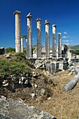 Temple of Aphrodite. Aphrodisias. Ancient Greece. Asia Minor. Turkey.