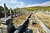 Channel Source of Perge, Old capital of Pamphylia Secunda. Ancient Greece. Asia Minor. Truthahn