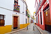 Street in the Historic city of Córdoba. Cordoba, Andalucia, Spain.