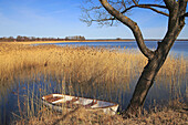 Sweden, Sodermanland, Hjalmaren, Rowboat on lake by tree