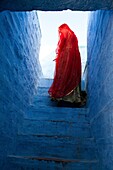 A lady going to top her house in Jodhpur Rajasthan, India, December 06, 2013. Jodhpur is second largest city in the Indian state of Rajasthan and has long been a popular destination among international tourists. However, surprisingly few visitors know the