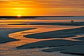 low tide at sunset in the Mont-Saint-Michel bay, Manche department, Normandy region, France, Europe.