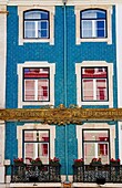 Portugal, Lisbon, Baixa pombalin, Casa portuguesa do Pastel de Bacalhau, the house of Bacalhau.