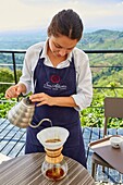 Hacienda San Alberto, Cafetal, Coffee plantations, Coffee Cultural Landscape, Buenavista, Quindio, Colombia, South America