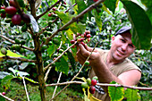 coffee Orosi al Natural, Orosi valley near Cartago, Costa Rica