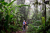 Naturpark, Regenwaldgebiet Monteverde, Costa Rica