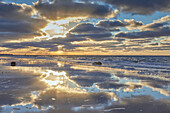Spiegelungen am Strand zum Sonnenuntergang, Weststrand, Darß, Ostseeküste, Mecklenburg Vorpommern, Deutschland