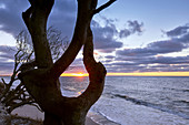 Sonnenuntergang am Weststrand, Darß, Ostseeküste, Mecklenburg Vorpommern, Deutschland