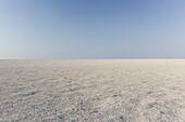 Etosha-Pan in the Etosha National Park, Namibia, Africa