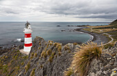 Cape Palliser, Wellington, North Island, New Zealand, Oceania