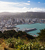 Mount Victoria Lookout, Wellington, Nordinsel, Neuseeland, Ozeanien