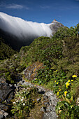 Milford Track, Great Walk, Fjordland National Park, Milford Sound, Southland, Südinsel, Neuseeland, Ozeanien