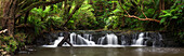 Purakaunui Falls, Wasserfall in Catlins, Clutha, Otago, Southland, Südinsel, Neuseeland, Ozeanien