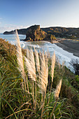 Piha,  Waitakere Ranges Regional Park, Auckland, Tasman Sea, North Island, New Zealand, Oceania