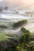 Taranaki, North Island, New Zealand, Oceania