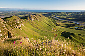 Hastings, Napier, Hawks Bay, North Island, New Zealand, Oceania