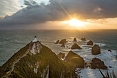 Nugget Point at sunrise, Catlins, Otago, South Island, New Zealand, Oceania