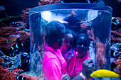 Children inside observation tube in aquarium at Antarctica display at Sea World Orlando theme park, Orlando, Florida, USA