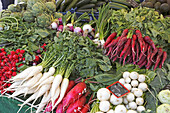 A selection of radishes at Viktualienmarkt, Munich, Upper Bavaria, Bavaria, Germany