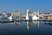 Swans in a pond in front of Chateau Nymphenburg, Gern, Munich, Upper Bavaria, Bavaria, Germany