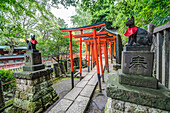 Pfad mit vielen roten Torii und Füchsen aus Stein am Nezu-Schrein, Yanaka, Taito-ku, Tokio, Japan