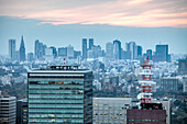 Stadtansicht Richtung Shinjuku vom Mandarin Oriental, Nihonbashi, Tokio, Japan