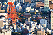 Tokyo Tower und Zojo-ji von oben gesehen im Herbst, Minato-ku, Tokio, Japan