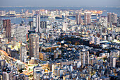 Odaiba, Bucht und Rainbow Bridge von oben gesehen während blauer Stunde im Herbst, Minato-ku, Tokio, Japan