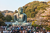 Großer Buddha von Kamakura im Frühling, Kanagawa Präfektur, Japan