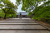 Steintreppen und Bronzelaterne im Tempel Ninna-ji, Kyoto, Japan